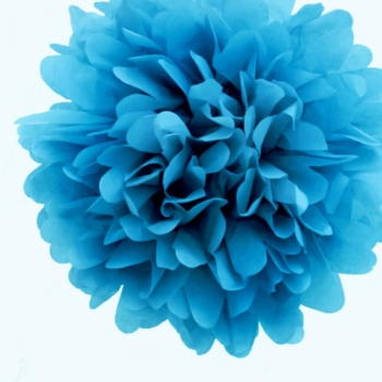 Tissue Paper Pom Poms Flower Ball (3 Sizes)– Sky Blue