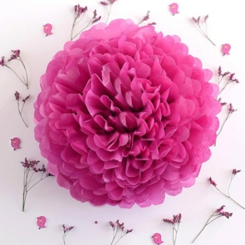 Tissue Paper Pom Poms Flower Ball (3 Sizes) — Fuchsia