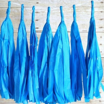 Tissue Paper Tassels — Sky Blue