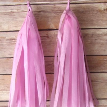 Tissue Paper Tassels — Pink