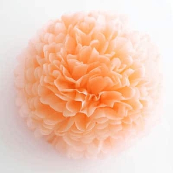 Tissue Paper Pom Poms Flower Ball (3 Sizes) — Peach