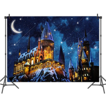 Harry Potter party Wall Background Decoration